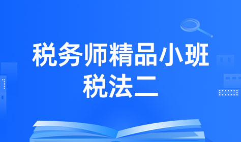 税务师精品小班-税法二